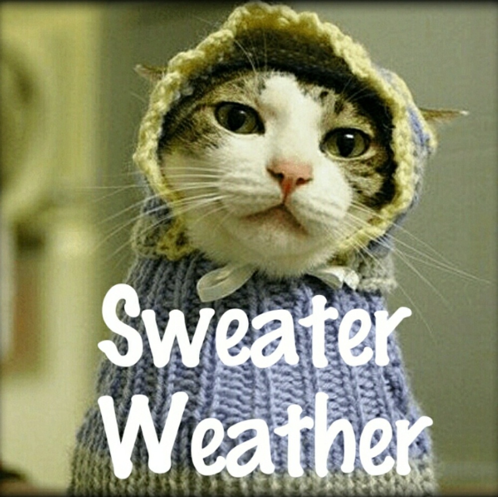 Cozy Clothes!